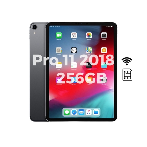 iPad Pro 11 2018 256GB cũ (Wifi/4G)