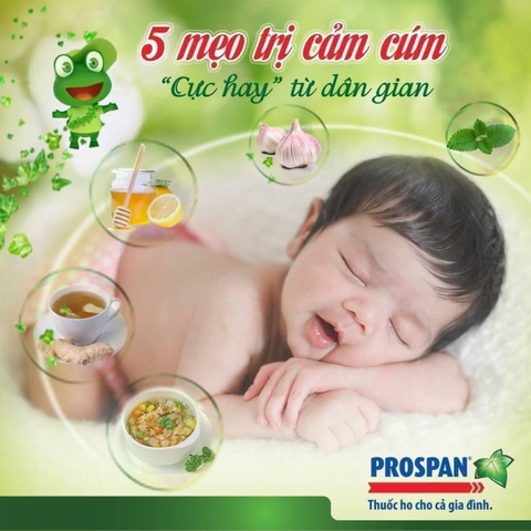 Sirô ho prospan Đức chiết xuất tự nhiên an toàn cho trẻ em