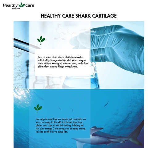 [Date T1.25] Viên uống sụn vi cá mập Healthy Care Shark Cartilage 750mg của ÚC