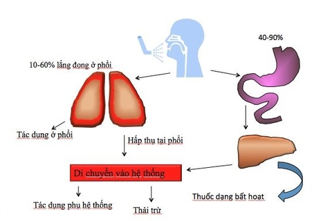 Máy xông mũi họng Microlife NEB 200