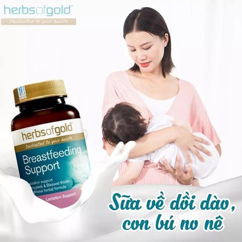 Viên Uống Lợi Sữa Herbs of Gold Breastfeeding Support Hộp 60 viên Úc