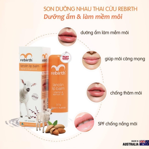 Son dưỡng môi nhau thai cừu Thỏi mẫu mới