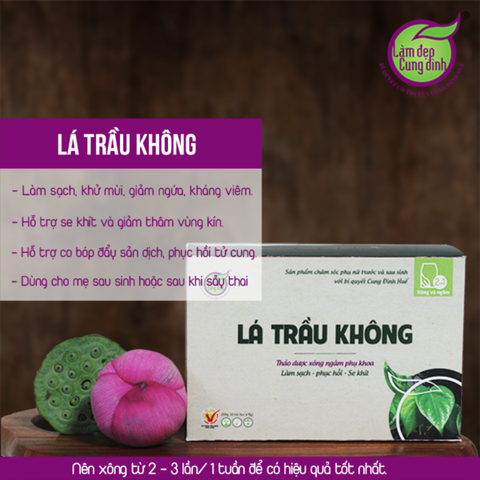 Xông Phụ Khoa Lá Trầu Không Cung Đình