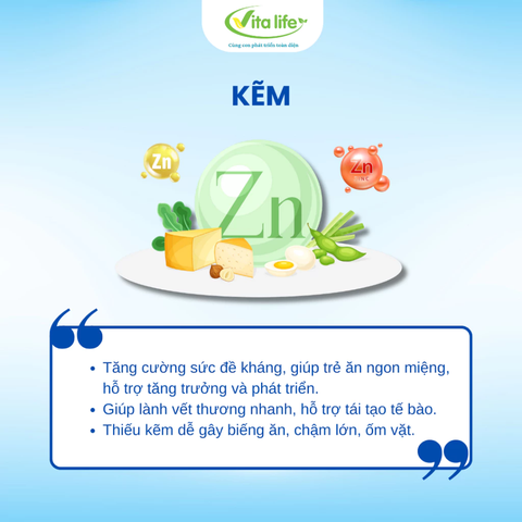 Kẽm Hữu Cơ Nhỏ Giọt Vita ZinC VitaLife 30ml – Bổ Sung Kẽm Cho Bé Ăn Ngon, Tăng Đề Kháng, Hỗ Trợ Phát Triển 2026 Chính Hãng Giá Rẻ