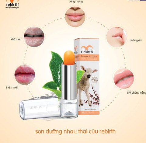 Son dưỡng môi nhau thai cừu Thỏi mẫu mới