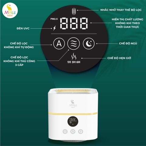 Máy lọc không khí và tạo ẩm Moaz BéBé MB - 066