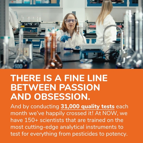 Now Sunflower Lecithin 1200mg 200 Viên Ngăn Ngừa Tắc Tia Sữa Thông Sữa Hiệu Quả Cho Mẹ Sau Sinh 2026 – Now Sunflower Lecithin 1200mg Bổ Sung Lecithin Từ Hướng Dương Tự Nhiên Không GMO An Toàn Giảm Tắc Sữa Tăng Sữa Mẹ Chính Hãng Mỹ Giá Rẻ