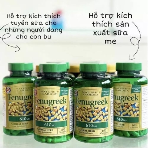 Vitamin Fenugreek 610mg (Cỏ Cà Ri Lợi Sữa) 2026 – Viên Uống Chiết Xuất Tự Nhiên Cỏ Cà Ri Kích Thích Tăng Tiết Sữa Cải Thiện Chất Lượng Sữa Hỗ Trợ Phục Hồi Sức Khỏe Mẹ Sau Sinh Tăng Size Vòng 1 Như Hormone Estrogen Chính Hãng Nature's Garden Anh Giá Rẻ