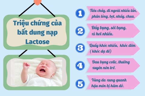 Sữa Aptamil Gold + Lactose Intolerance 800g Chính Hãng 2025: Review Chi Tiết, Giá Bán, Thành Phần, Lợi Ích, Cách Pha Cho Bé Sơ Sinh Không Dung Nạp Lactose, Dị Ứng Lactose