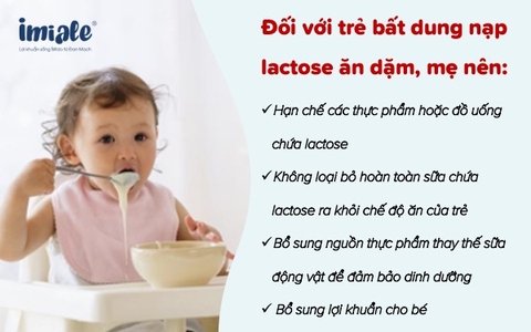 Sữa Aptamil Gold + Lactose Intolerance 800g Chính Hãng 2025: Review Chi Tiết, Giá Bán, Thành Phần, Lợi Ích, Cách Pha Cho Bé Sơ Sinh Không Dung Nạp Lactose, Dị Ứng Lactose