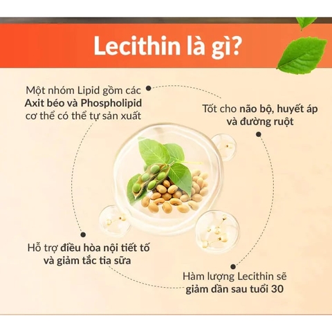 🌟 NOW SUNFLOWER LECITHIN 1200MG (100 VIÊN) – NGĂN NGỪA TẮC TIA SỮA, THÔNG SỮA HIỆU QUẢ CHO MẸ SAU SINH, CHO CON BÚ AN TOÀN! 🌟