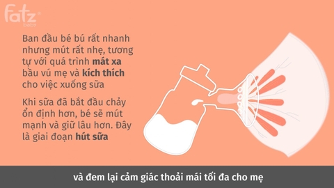 MÁY HÚT SỮA ĐIỆN ĐÔI - CHORUS 4 - FB1101TY