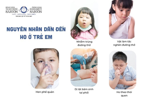 Siro Ho Prospan Dạng Gói Nhỏ Hộp 21 Gói 5ml: Công Dụng, Liều Dùng, Giá Bán Và Review Chi Tiết 2025 – Siro Ho Prospan Đức Trị Ho Long Đờm Giảm Viêm Đường Hô Hấp An Toàn Cho Trẻ Em Người Lớn Không Cồn Không Đường Chính Hãng Giá Rẻ