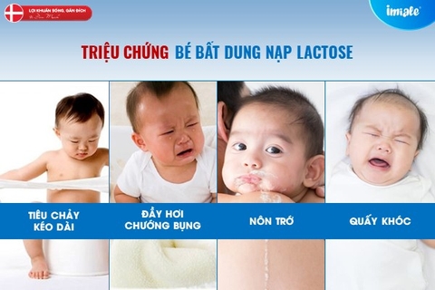 Sữa Aptamil Gold + Lactose Intolerance 800g Chính Hãng 2025: Review Chi Tiết, Giá Bán, Thành Phần, Lợi Ích, Cách Pha Cho Bé Sơ Sinh Không Dung Nạp Lactose, Dị Ứng Lactose