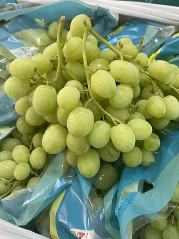 Nho xanh Úc sunvalley