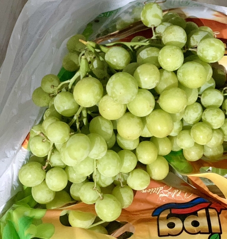 Nho Xanh Autumn JPG sea