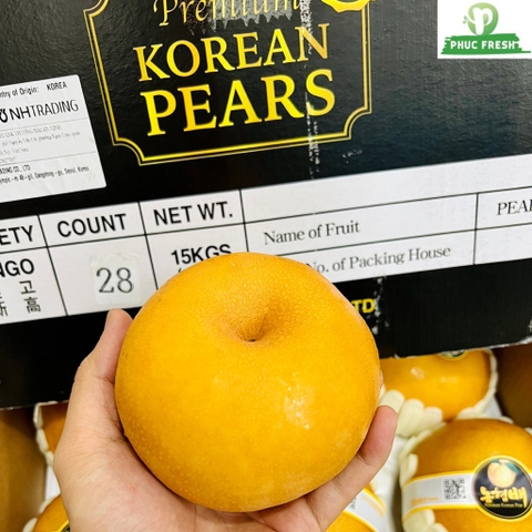 Lê Nâu Hàn Singo sz 26-34