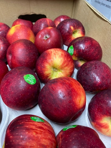 Táo Juliet Organic Pháp size88