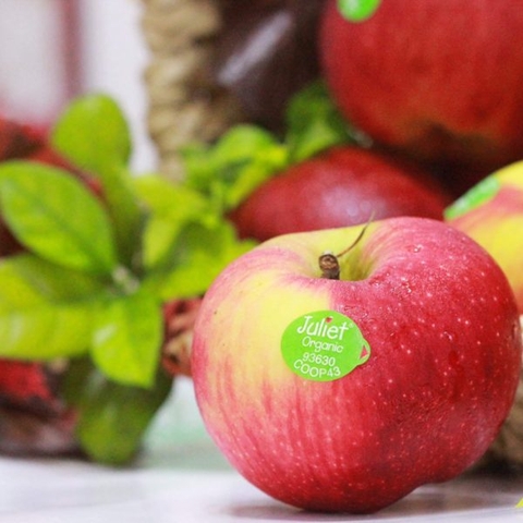 Táo Juliet Pháp size 100