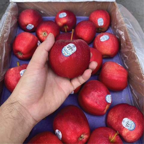 Táo Gala Chelan s113