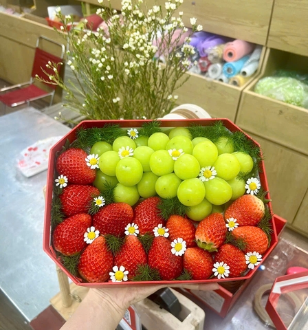 Hộp Quà Cao Cấp Set 850k