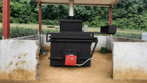 lò đốt xác heo