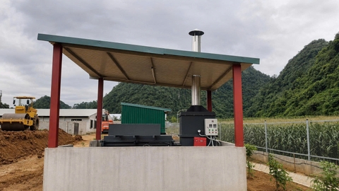 lò đốt xác heo