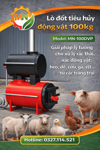 Lò đốt xác heo 100kg/lần