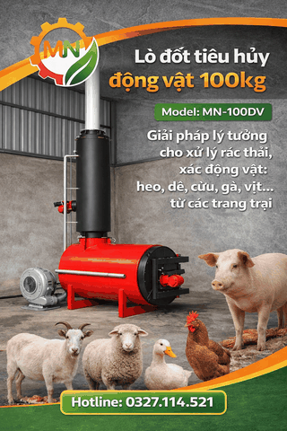 Lò đốt xác động vật 100kg/lần