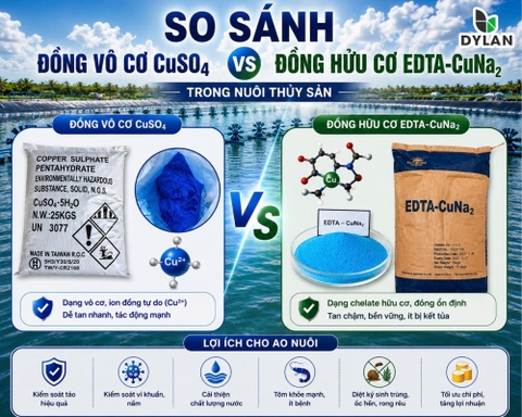So Sánh Đồng Vô Cơ CuSO₄ Và Đồng Hữu Cơ EDTA-CuNa₂ Trong Nuôi Thủy Sản
