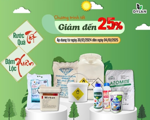 Chương Trình Tết Âm Lịch Dylan 2024