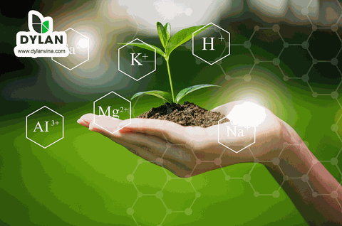 Chất điều hòa sinh trường là gì? Lợi ích và tác hại của chúng?