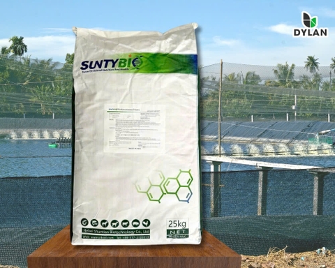  Men thúi (Rhodopseudomonas palustris) giúp giảm khí độc H2S và giảm mùi hôi thúi trong nước