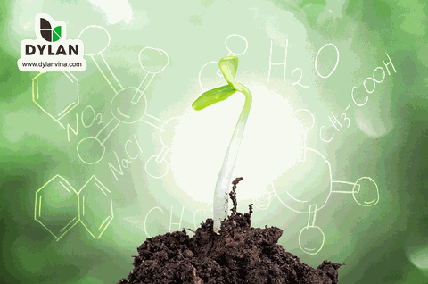 Để đất được gọi là 