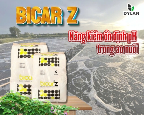 Độ kiềm trong nuôi trồng thủy sản ? Cách nâng kiềm hiệu quả trong thủy sản
