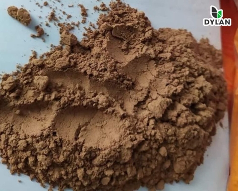 Saponin diệt cá tạp trong ao nuôi tôm