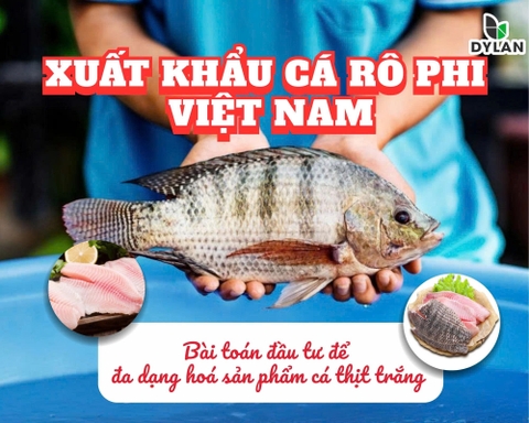 Xuất khẩu cá rô phi Việt Nam: Bài toán đầu tư để đa dạng hóa sản phẩm cá thịt trắng