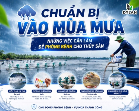 Chuẩn Bị Vào Mùa Mưa – Những Việc Cần Làm Để Phòng Bệnh Cho Thủy Sản