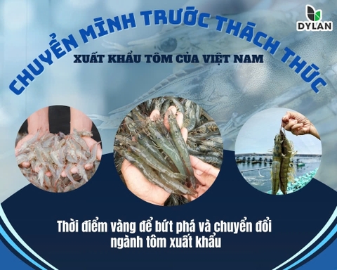 Thời điểm vàng để bứt phá và chuyển đổi ngành tôm xuất khẩu