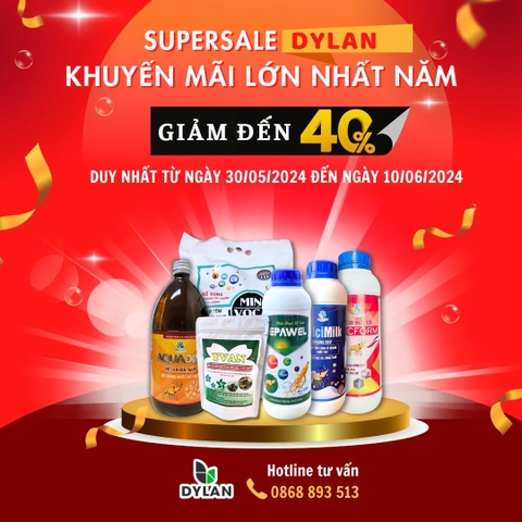 Thông báo chương trình siêu sale 2024