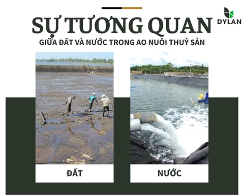 Mối tương quan giữa đất và nước trong ao nuôi trồng thủy sản