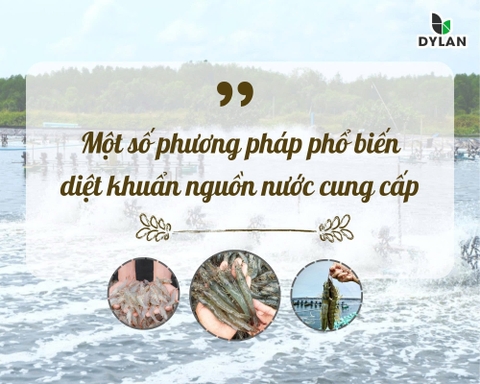 Một Số Phương Pháp Phổ Biến Diệt Khuẩn Nguồn Nước Cung Cấp