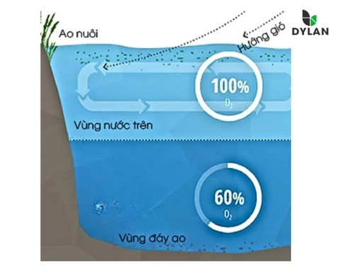 Công dụng của Oxy hòa tan trong ao nuôi tôm
