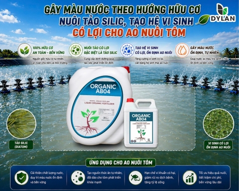 GÂY MÀU NƯỚC THEO HƯỚNG HỮU CƠ – NUÔI TẢO SILIC, TẠO HỆ VI SINH CÓ LỢI CHO AO NUÔI TÔM