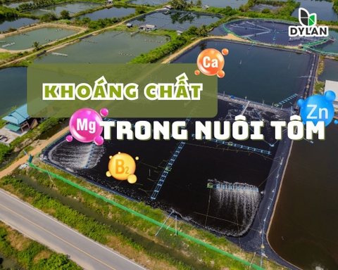 Khoáng trong nuôi trồng thủy sản
