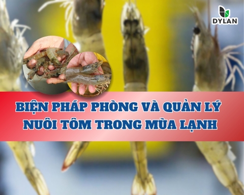 BIỆN PHÁP PHÒNG VÀ QUẢN LÝ NUÔI TÔM TRONG MÙA LẠNH