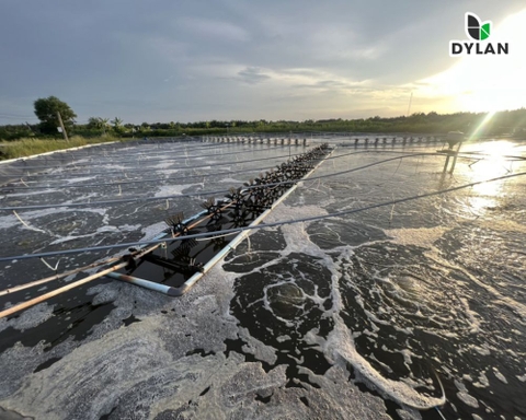 Sinh khối là gì? - Điều kiện đạt tỷ đô cho tôm nuôi