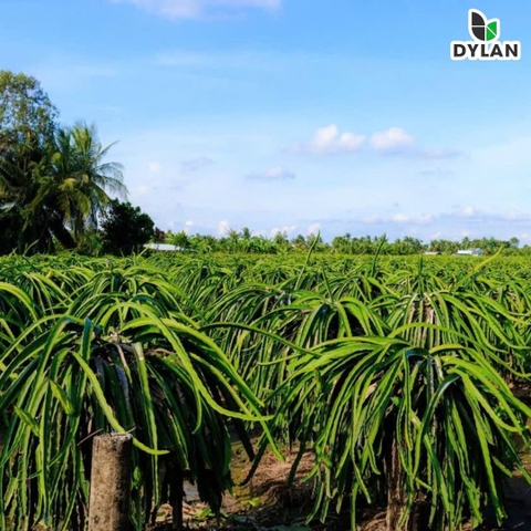 Chào đón Viện nghiên cứu Chăn Nuôi Hàn Quốc đến thăm và làm việc tại Dylan