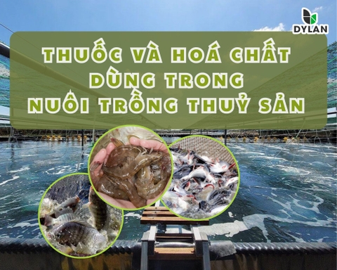 Thuốc và Hóa Chất Dùng Trong Nuôi Trồng Thủy Sản