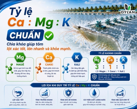 Tỷ lệ Ca : Mg : K chuẩn – Chìa khóa giúp tôm lột xác tốt, lớn nhanh và khỏe mạnh